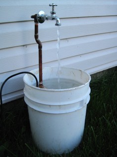 Five Gallon Water Fountain First Run / Test