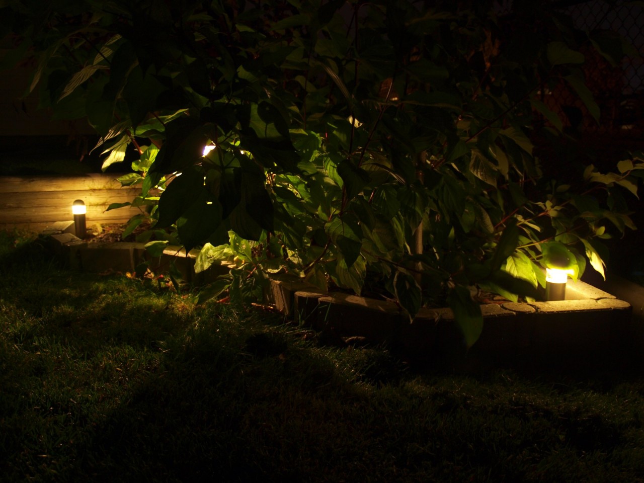 Two bollard lights stand like light houses inside fortress walls, beckoning to travelers from afar to come near their warmth. In this case, those travellers are mosquitos and moths, but the warmth is unmistakable. 