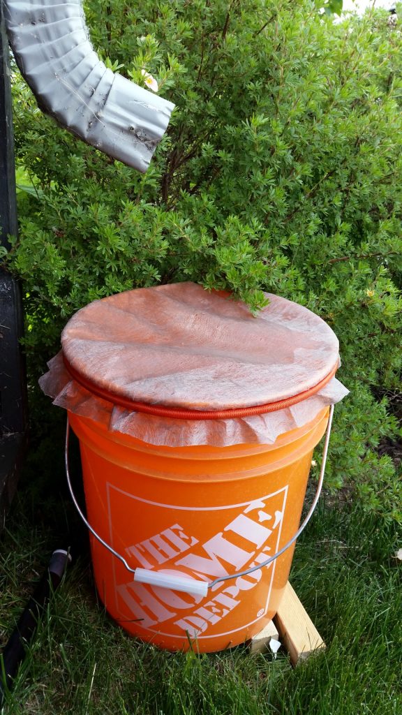 Rain Water Collection Bucket Underneath a Downspout With Poly Transfer Pipe Threaded Into Bottom